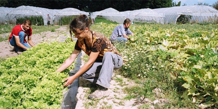 Insérer des exclus : quelle école de management ! L'expérience fondatrice des Jardins de Cocagne