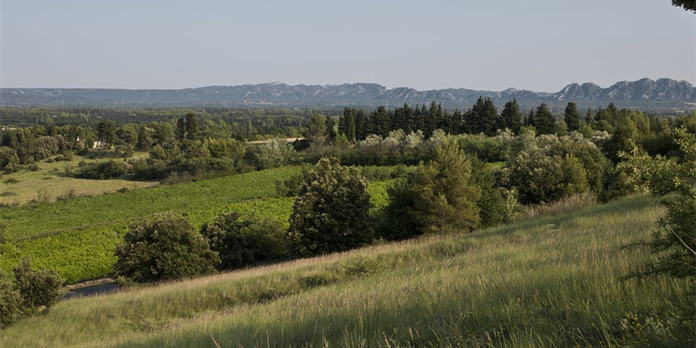 Agriculture et transition énergétique : les atouts du biogaz et de l'agroforesterie