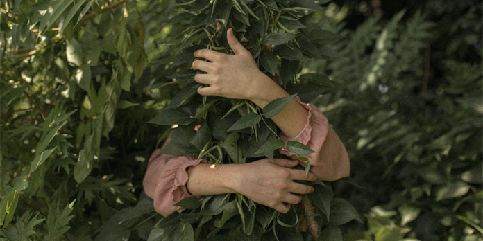 Pourquoi la nature nous fait du bien, les scientifiques expliquent