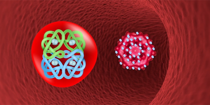 Coronavirus : les miracles de la molécule d'Hemarina qui remplace les respirateurs artificiels