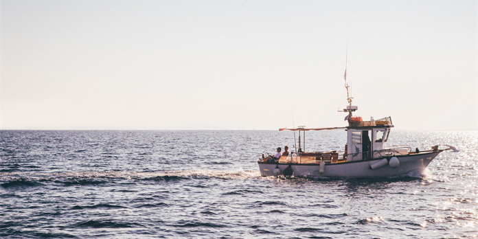 Le MSC accélère ses actions pour une pêche durable