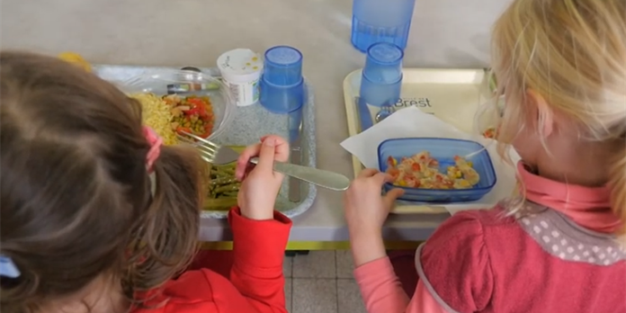 Brest propose des assiettes bio à ses écoliers