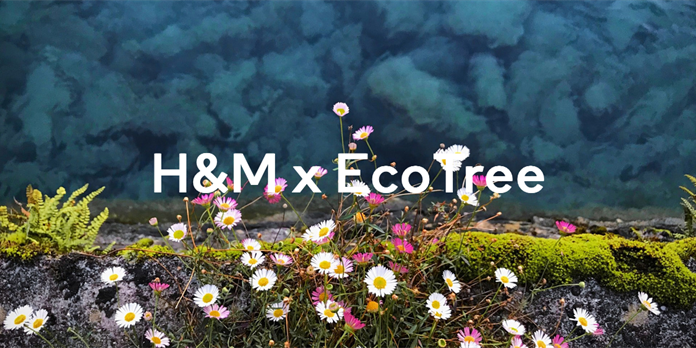H&M s'engage pour le climat et la biodiversité