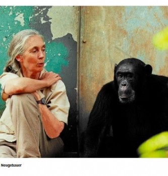 Beauty Disrupted soutient le Jane Goodall Institute